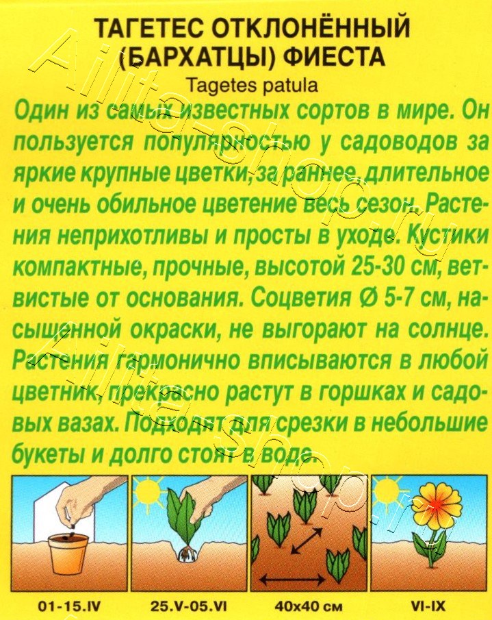 Бархатцы Фиеста отклоненные 0,3г