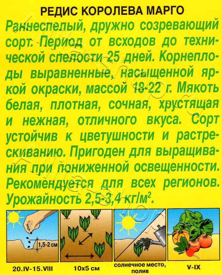 Редис Королева Марго 2г