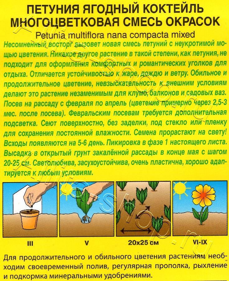 Петуния Ягодный коктейль, смесь окрасок 0,1г