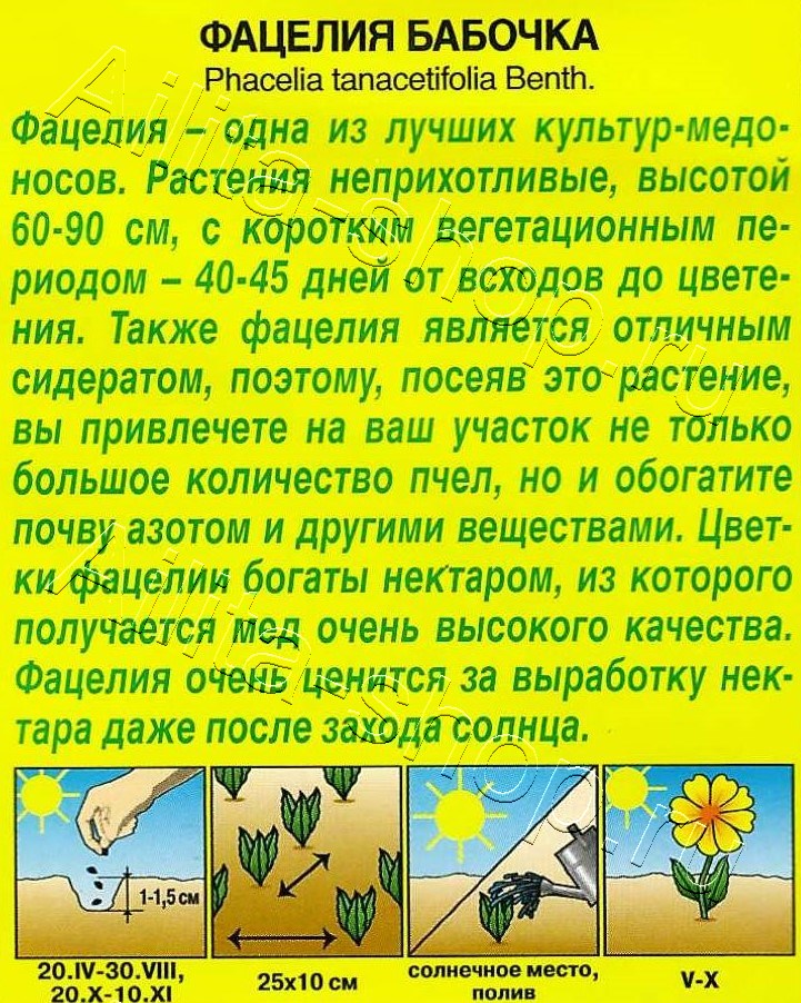 Фацелия Бабочка 2г