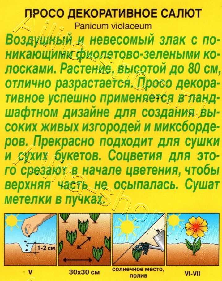 Просо декоративное Салют 0,5г