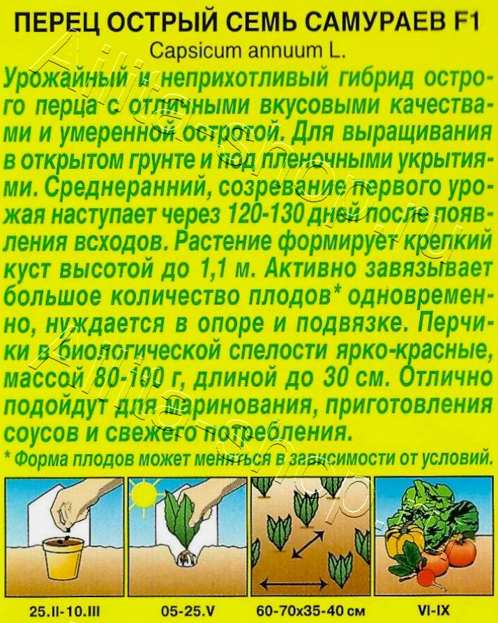 Перец острый Семь самураев F1 7шт