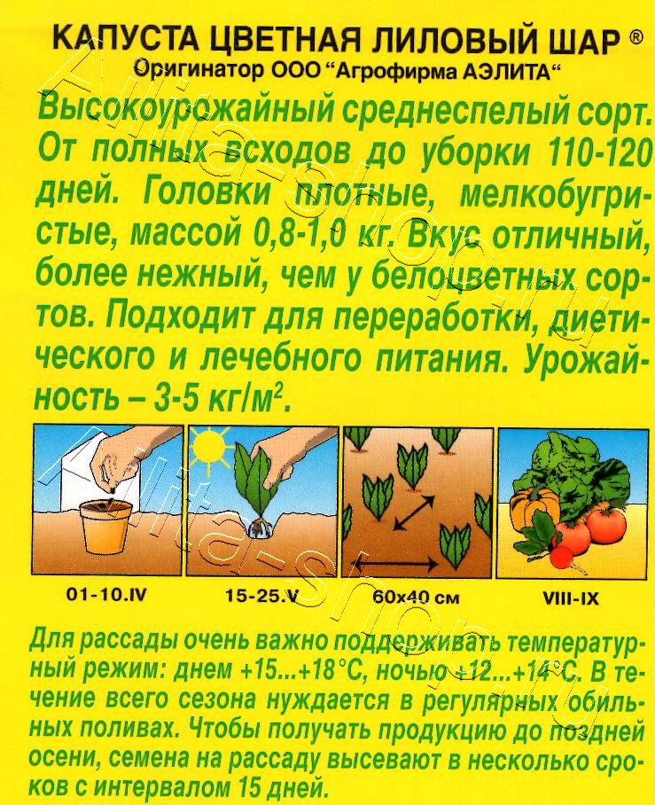 Капуста цветная Лиловый шар 0,15г