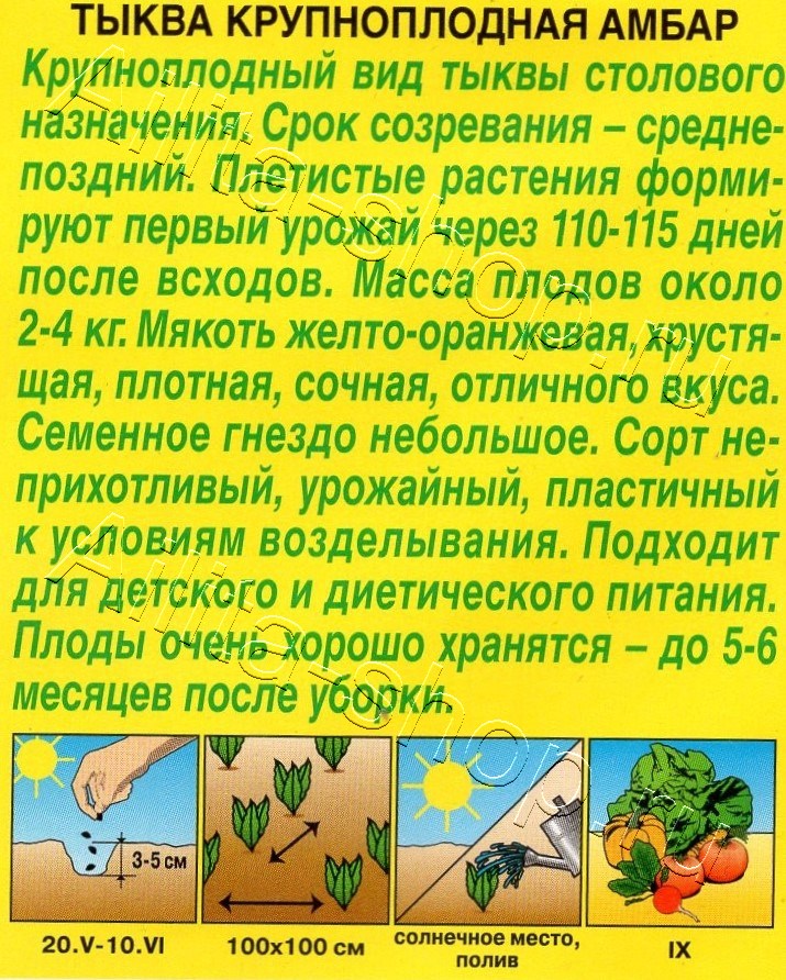 Тыква крупноплодная Амбар 1г