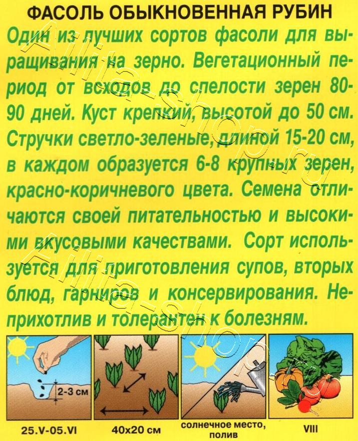 Фасоль обыкновенная Рубин 5г