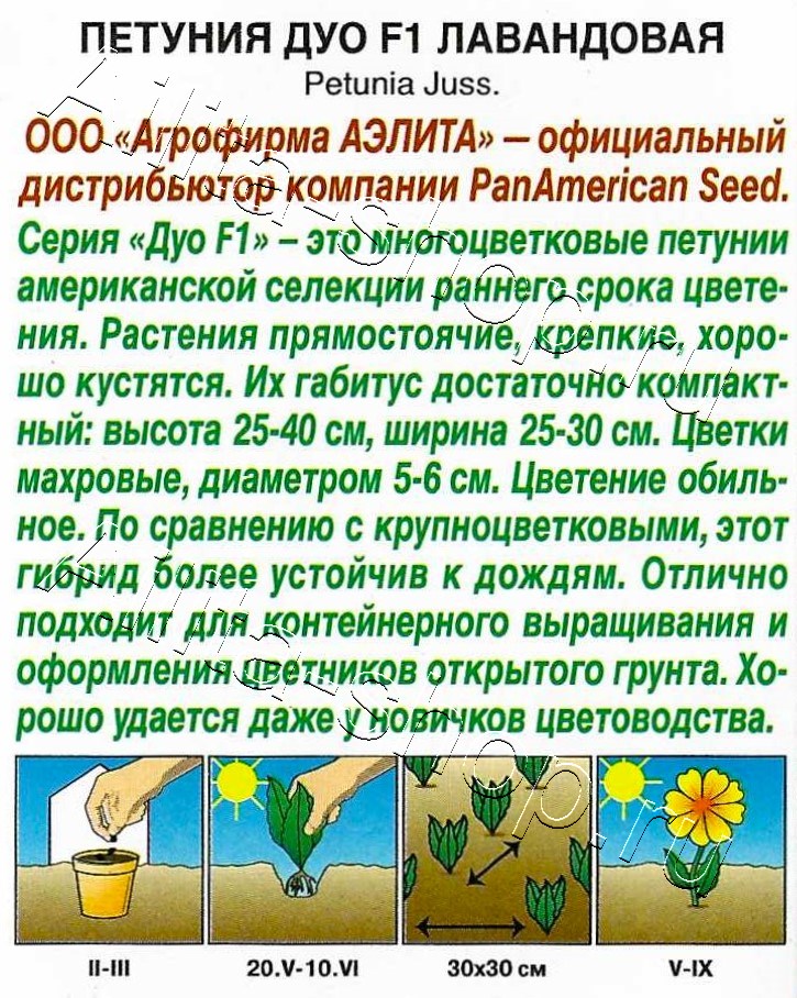 Петуния Дуо F1 лавандовая 5шт