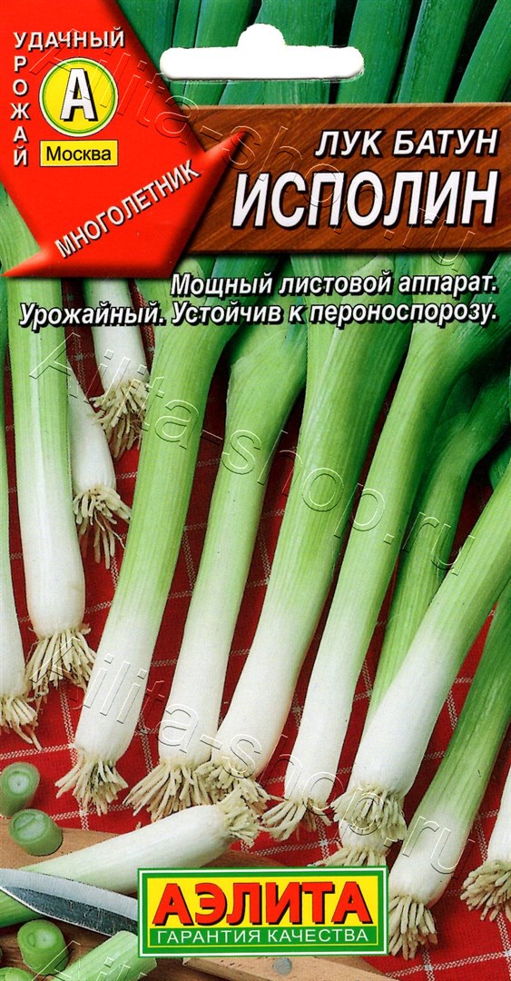 Лук батун Исполин 0,5г