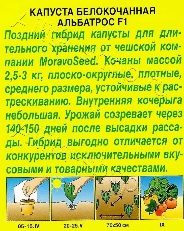 Капуста белокочанная Альбатрос F1 0,1г