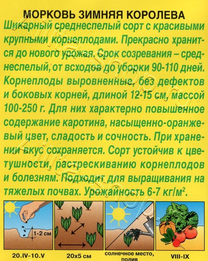 Морковь Зимняя королева 2г