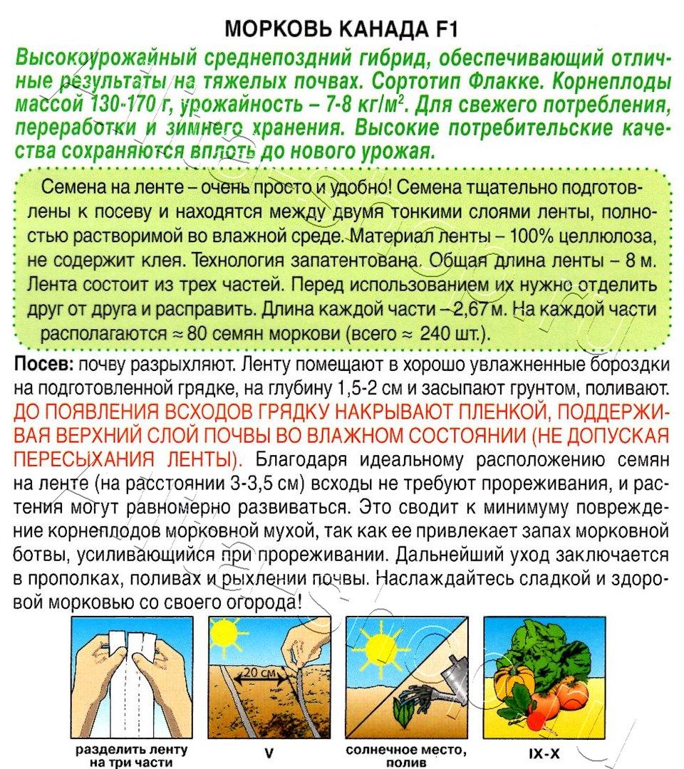 Морковь Канада F1 на ленте 8м