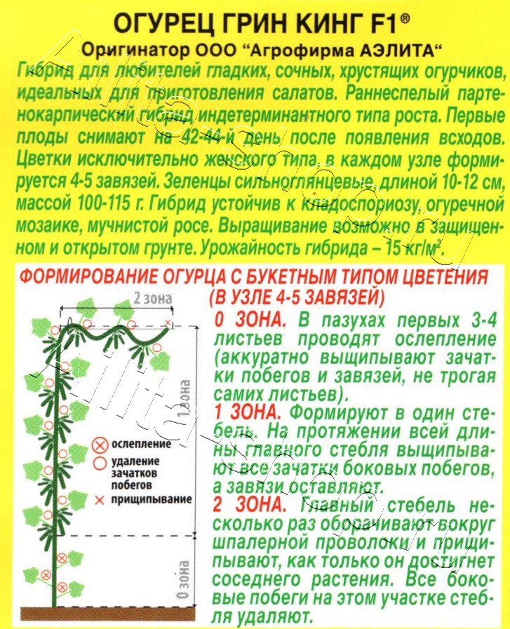 Огурец Грин Кинг F1 10шт