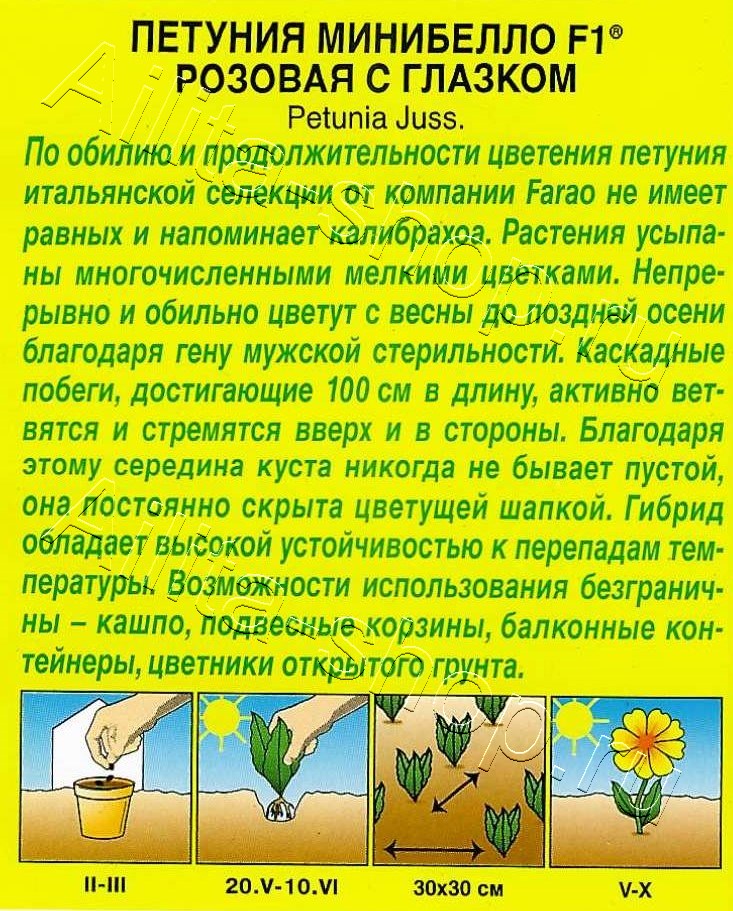Петуния мини Минибелло F1 розовая с глазком многоцветковая 5шт