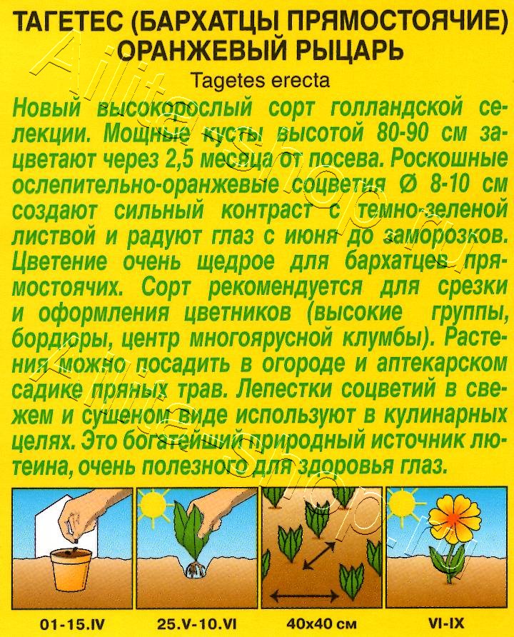 Бархатцы Оранжевый рыцарь прямостоячие 0,1г