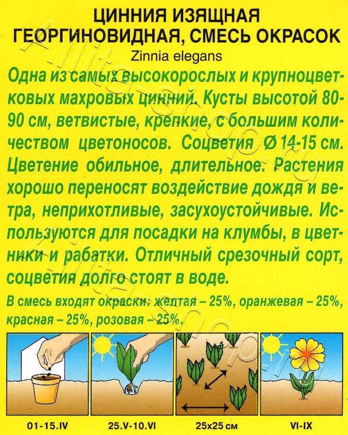 Цинния Георгиновидная, смесь окрасок 0,3г