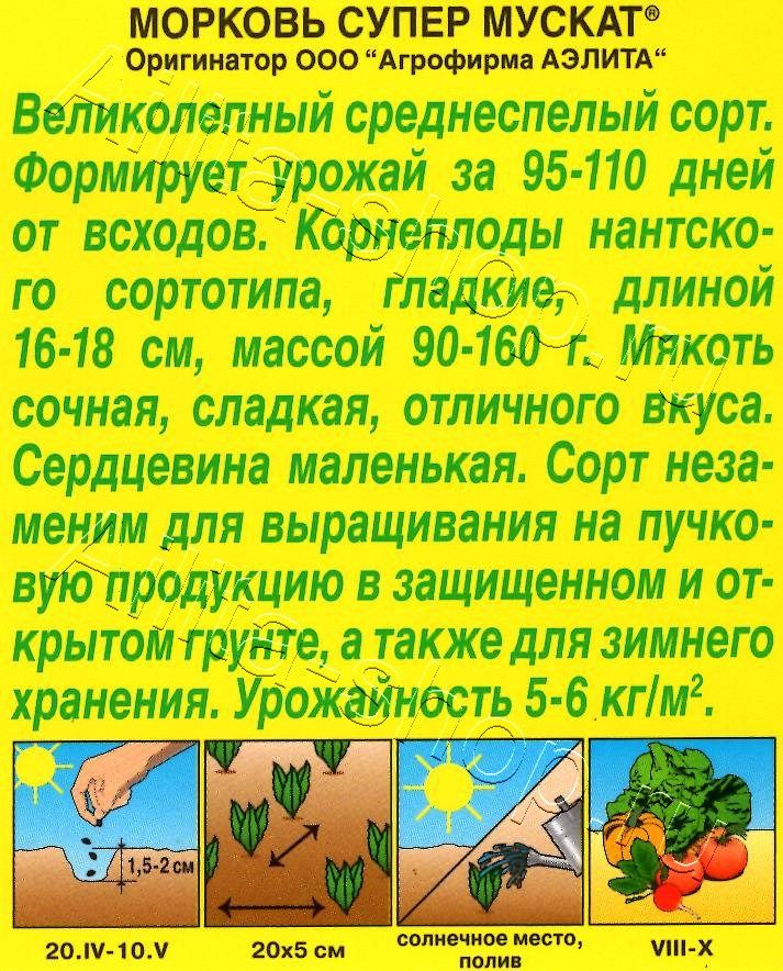 Морковь Супер Мускат 2г