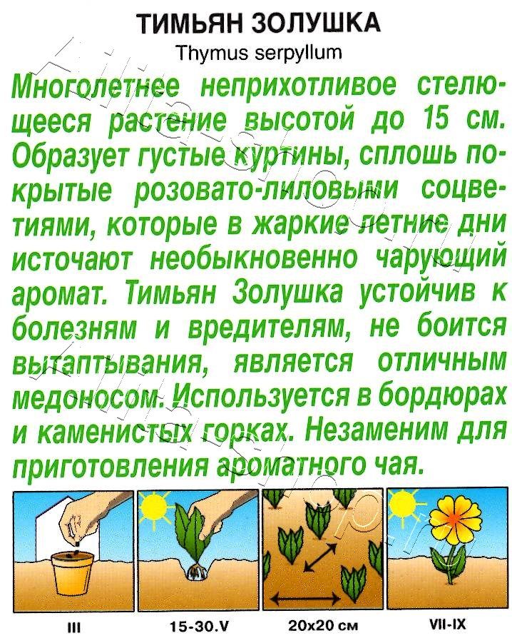 Тимьян Золушка 0,02г