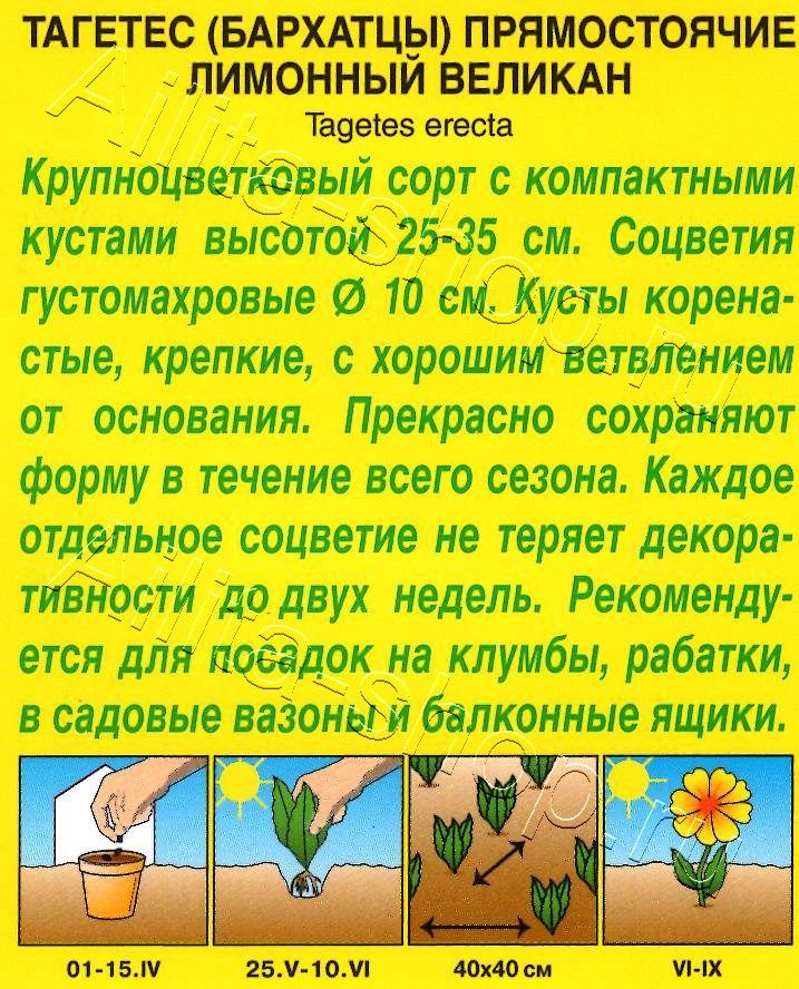 Бархатцы Лимонный великан прямостоячие 0,1г