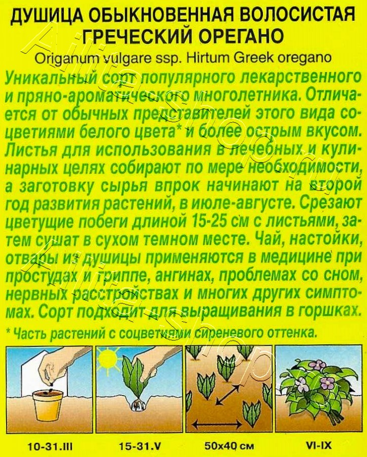 Душица обыкновенная Греческий орегано 0,05г