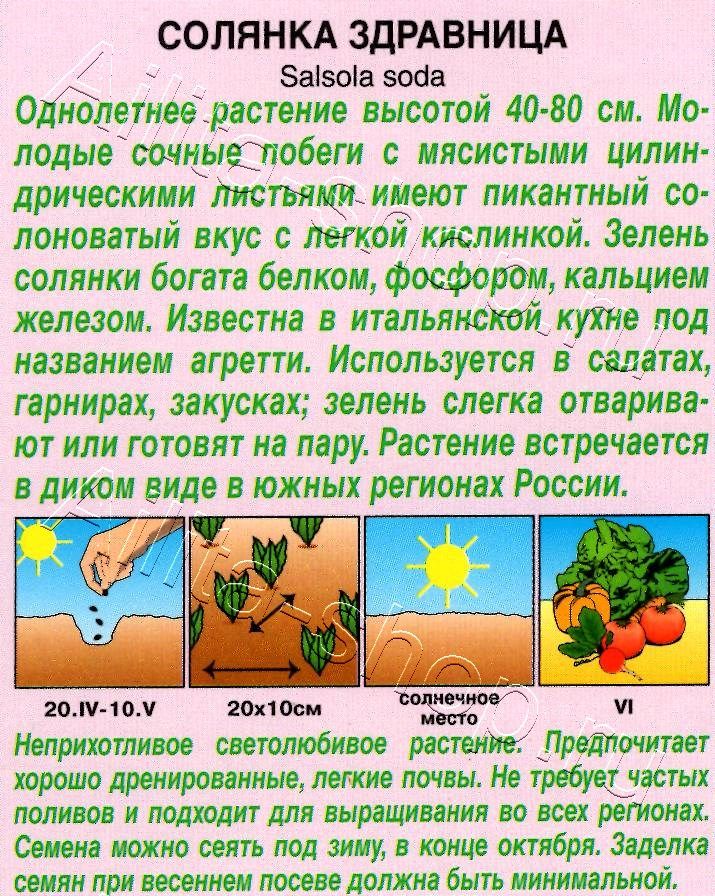 Солянка Здравница 1г