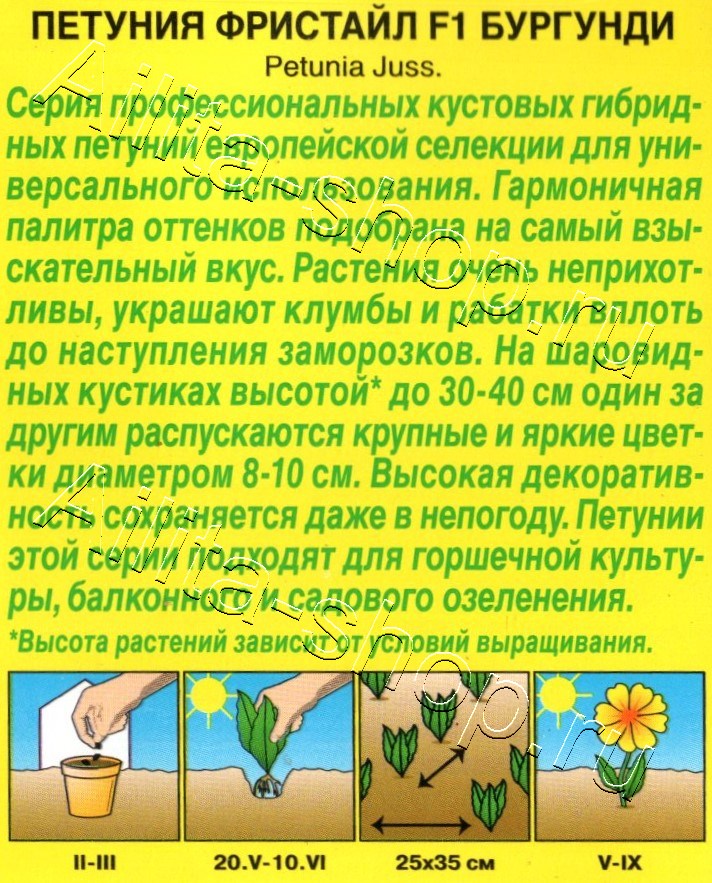 Петуния Фристайл F1 бургунди 7шт