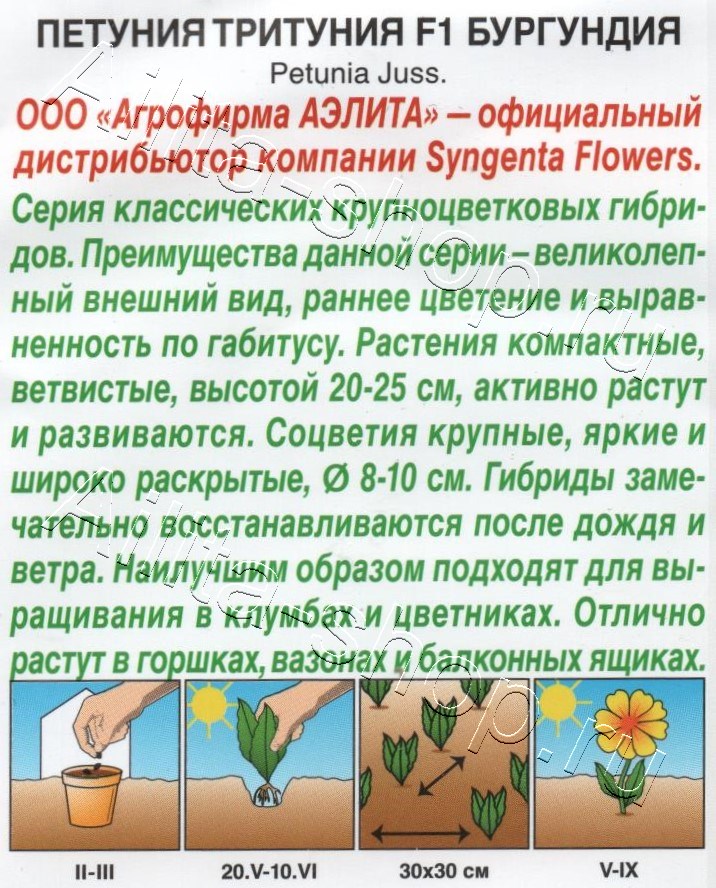 Петуния Тритуния F1 бургундия 7шт