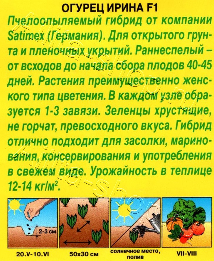 Огурец Ирина F1 10шт