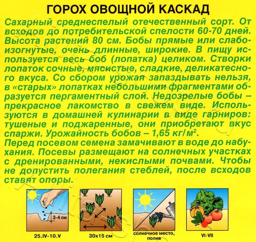 Горох овощной Каскад 25г