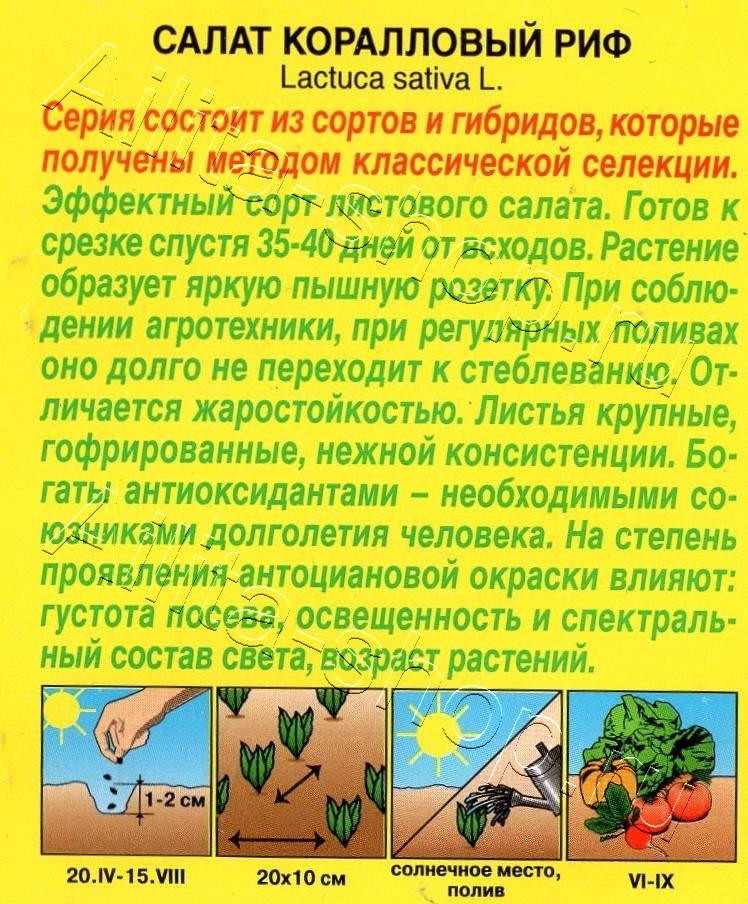 Салат Коралловый риф 0,1г