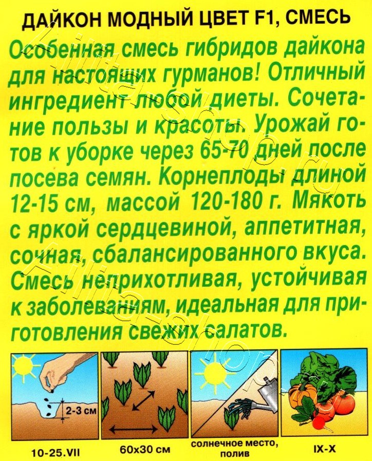 Дайкон Модный цвет F1, смесь 10шт