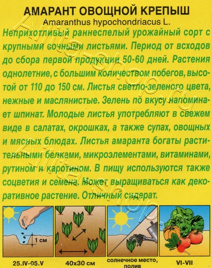 Амарант овощной Крепыш 0,3г