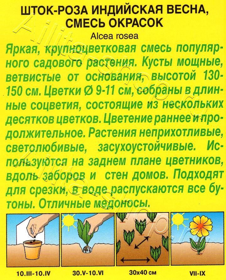 Шток-роза Индийская весна, смесь окрасок 0,3г