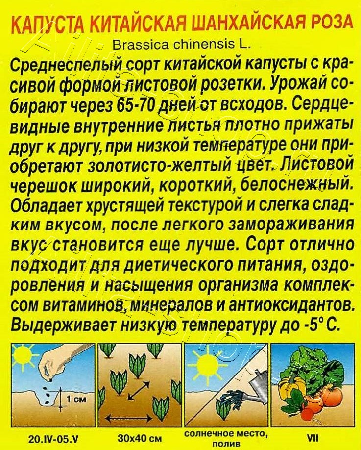 Капуста китайская Шанхайская роза 0,1г