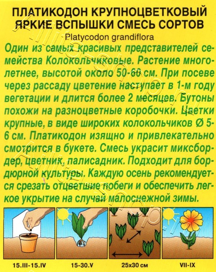 Платикодон Яркие вспышки, смесь сортов 0,03г