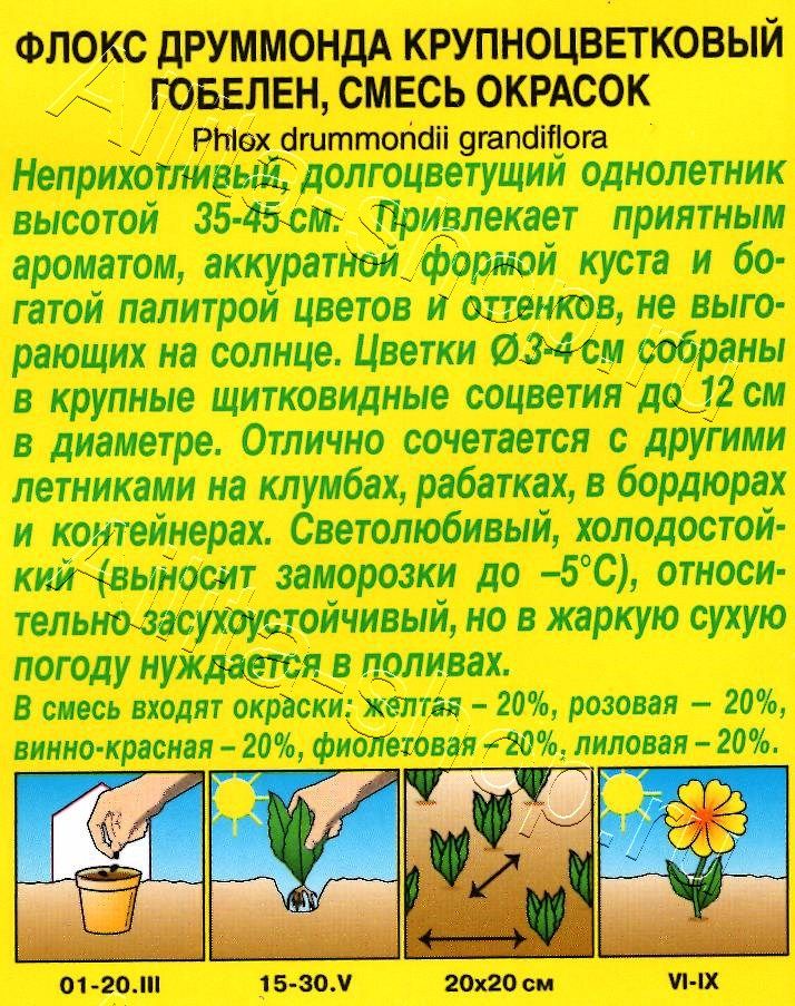 Флокс Гобелен, смесь окрасок 0,1г