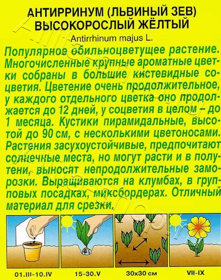 Львиный зев Высокорослый желтый 0,1г