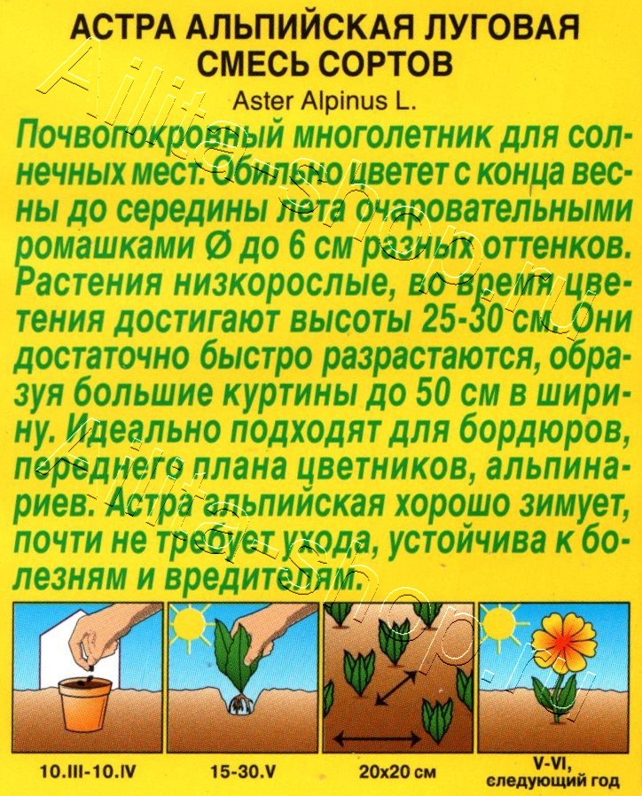 Астра альпийская Луговая, смесь сортов 0,1г