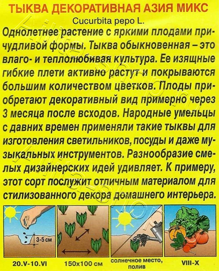 Тыква декоративная Азия микс 15шт