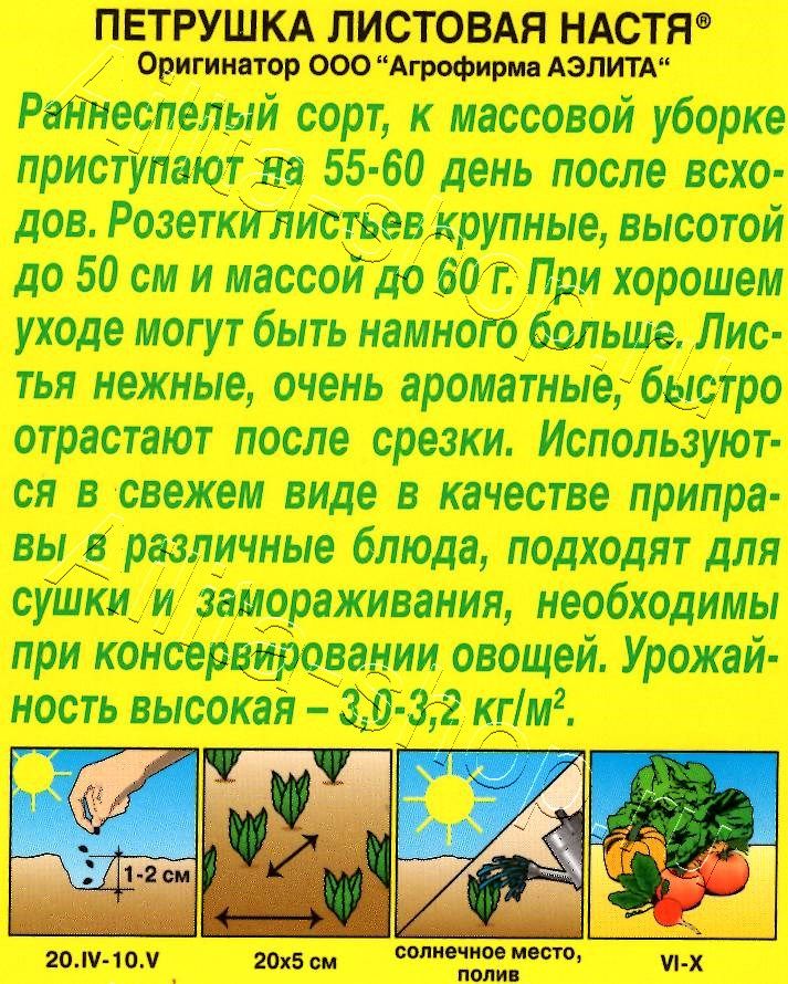 Петрушка листовая Настя 2г