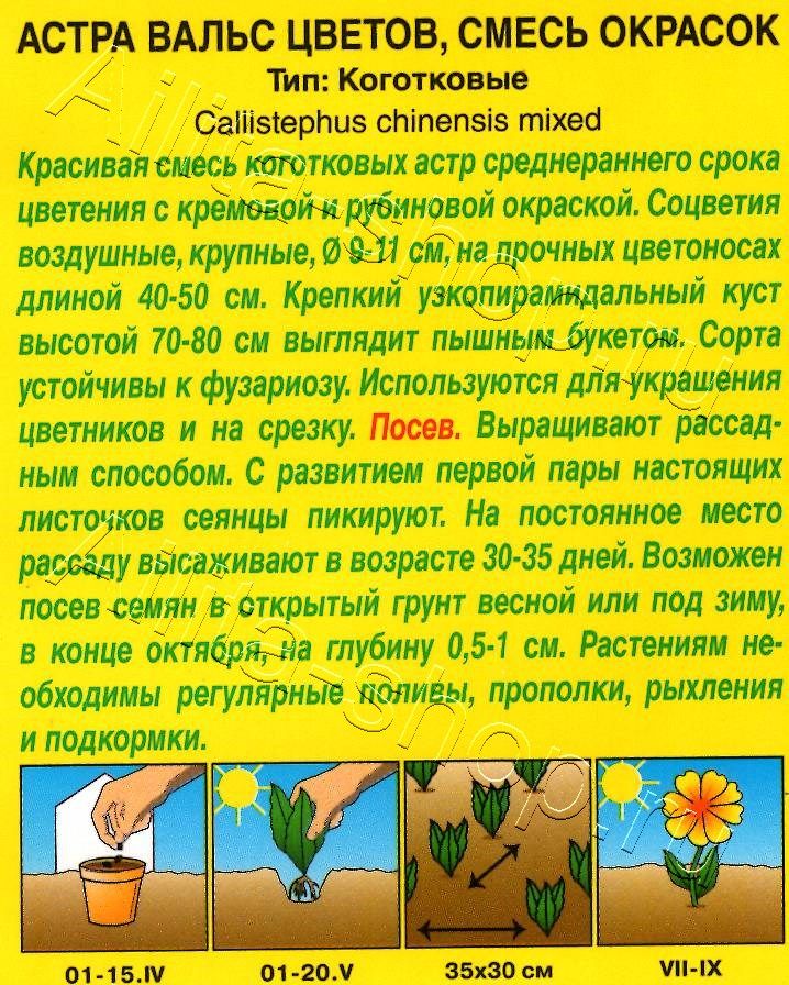 Астра Вальс цветов, смесь окрасок 0,2г