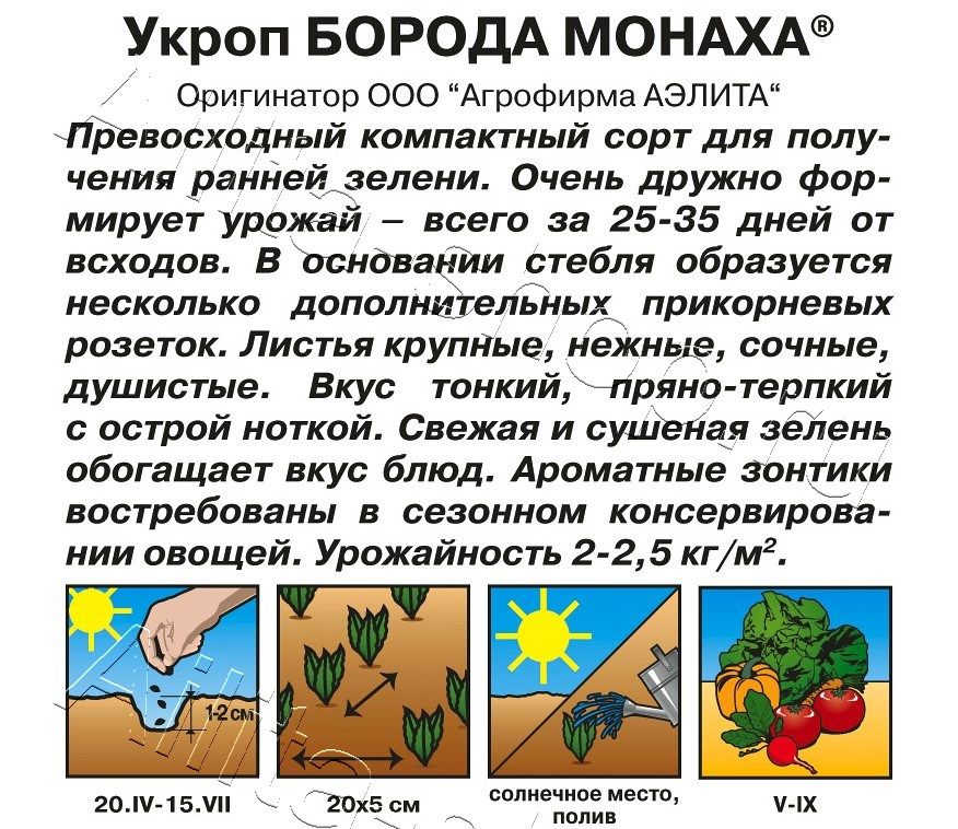 Укроп Борода монаха 3г