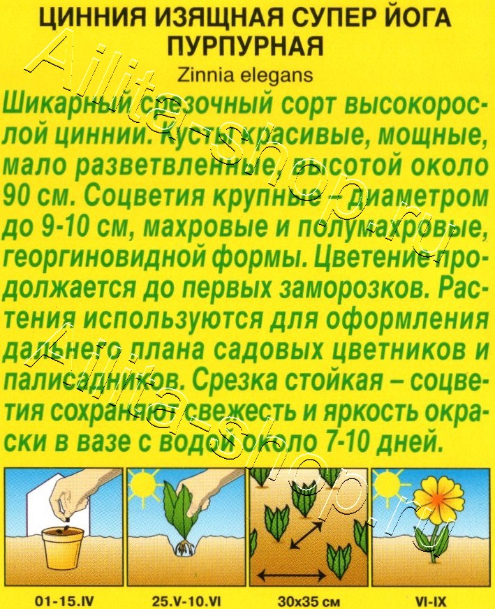 Цинния Супер йога пурпурная 0,3г