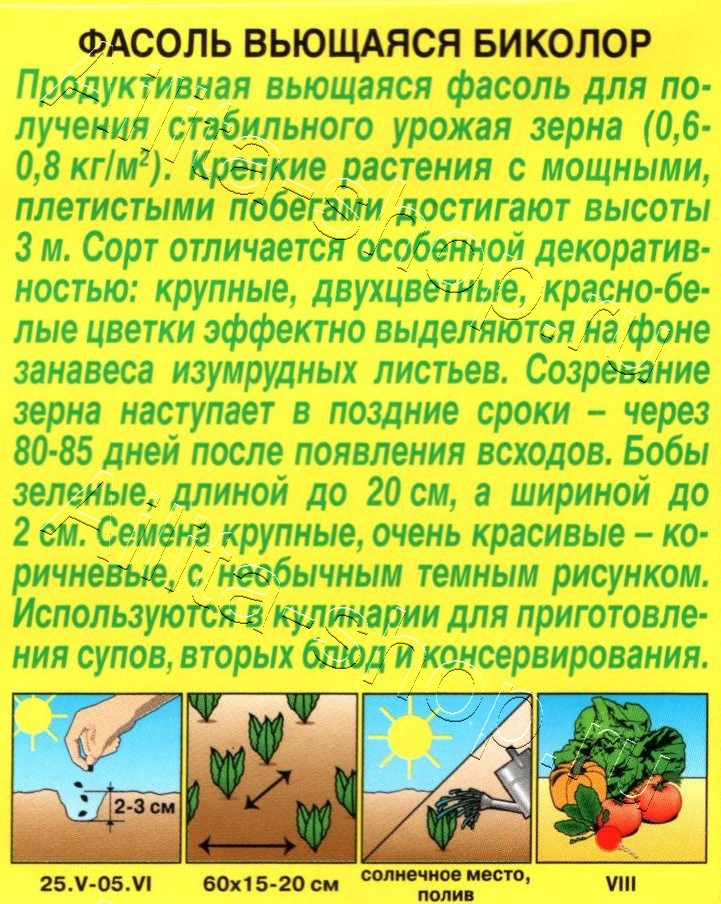 Фасоль вьющаяся Биколор 5г