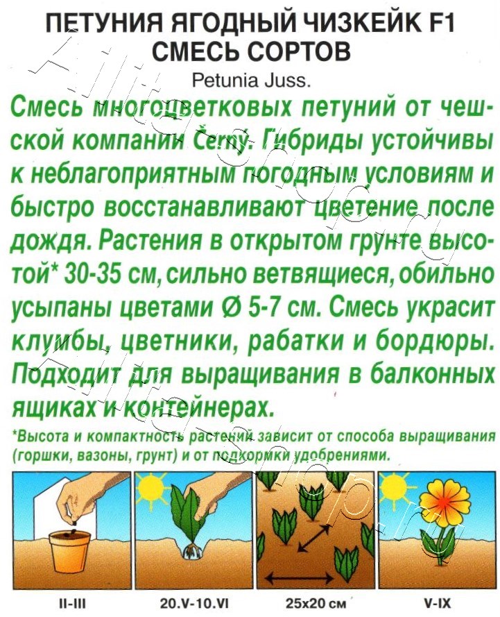 Петуния Ягодный чизкейк F1, смесь сортов 10шт