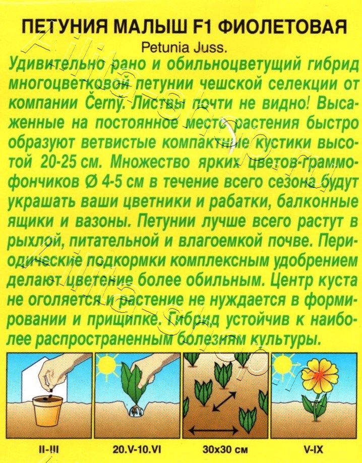 Петуния мини Малыш F1 фиолетовая многоцветковая 7шт
