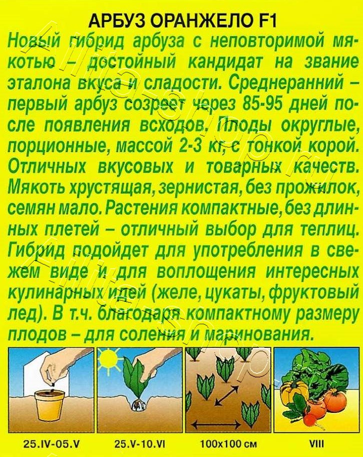 Арбуз Оранжело F1 5шт