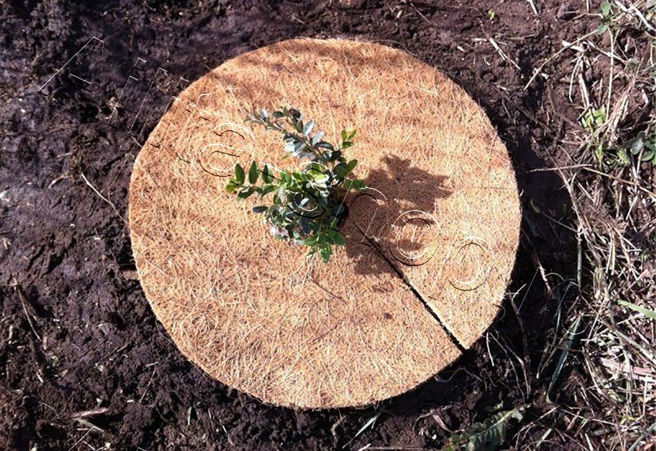 Приствольный круг Мульчаграм 30см 5шт