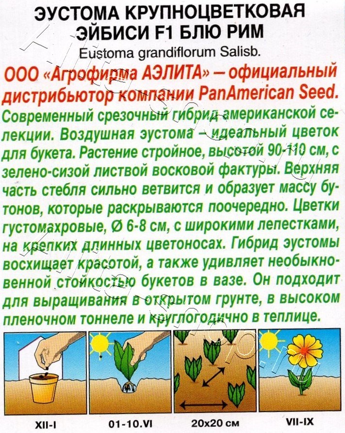 Эустома Эйбиси F1 блю рим крупноцветковая махровая 5шт