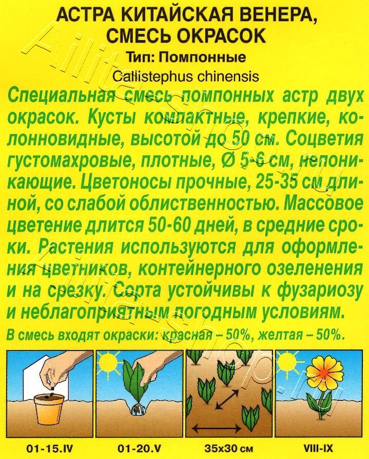 Астра Венера, смесь окрасок 0,2г