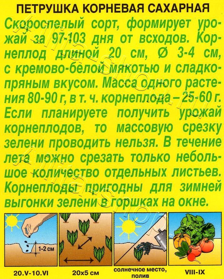 Петрушка корневая Сахарная 2г