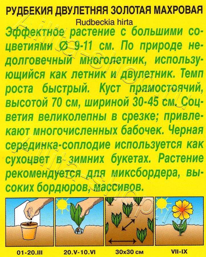 Рудбекия махровая Золотая 0,2г
